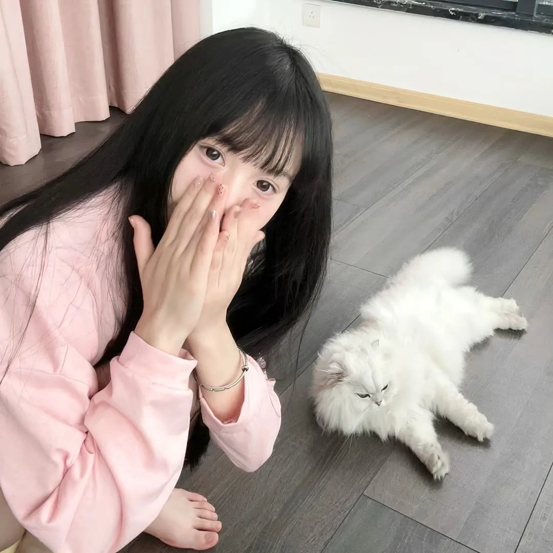 汪汪队立大功第四季